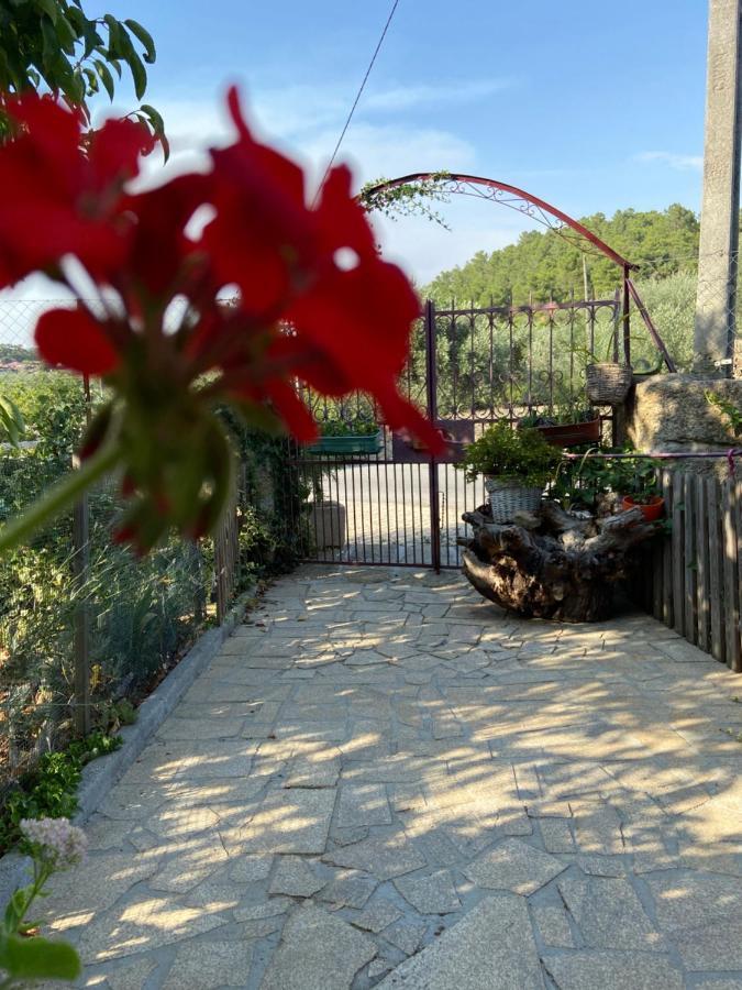 Casa Da Aldeia Da Avo Bed & Breakfast Valpaços Екстериор снимка